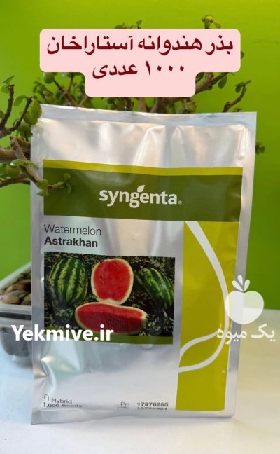 فروش بذر هندوانه هیبرید استاراخان در خرم آباد در گروه خرید و فروش بذر هندوانه در یکمیوه -عکس1