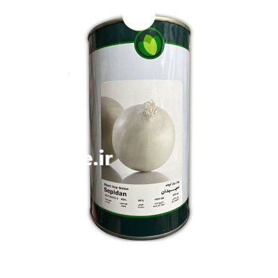 بذر پیاز سفید سپیدان در حاجی آباد در گروه خرید و فروش بذر پیاز در یکمیوه -عکس1