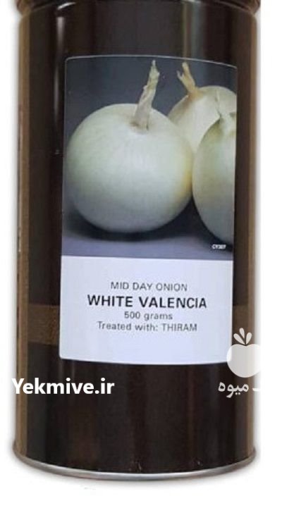 بذر پیاز والنسیا در اصلاندوز در گروه خرید و فروش بذر پیاز در یکمیوه -عکس1