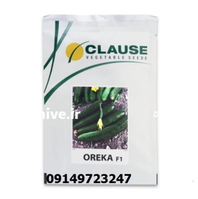 فروش بذر خیار هیبرید اورکا در گنبد کاووس در گروه خرید و فروش بذر خیار در یکمیوه -عکس1