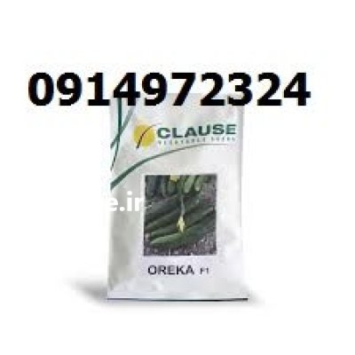 بذر خیار اورکا انتخاب کشاورزان حرفه در مشهد در گروه خرید و فروش بذر خیار در یکمیوه -عکس1