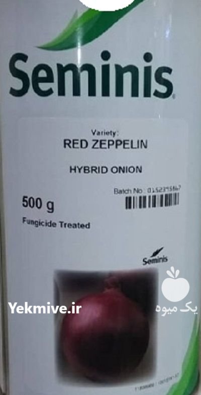 بذر پیاز قرمز هیبریدی رد زیپلین در بار  در گروه خرید و فروش بذر پیاز در یکمیوه -عکس1