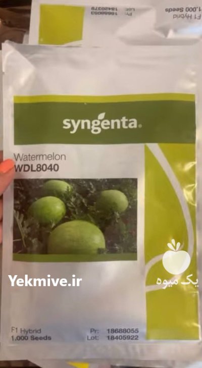 فروش بذر هندوانه هیبرید 8040 در اهواز در گروه خرید و فروش بذر هندوانه در یکمیوه -عکس1