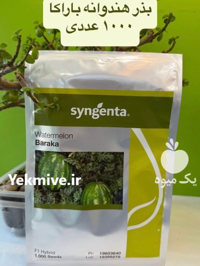 بذر هندوانه باراکا مخصوص مناطق گرمسیری در یزد در گروه خرید و فروش بذر هندوانه در یکمیوه -عکس1
