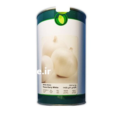 بذر پیاز تگزاس ارلی و ایت در بیرجند در گروه خرید و فروش بذر پیاز در یکمیوه -عکس1