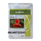 بذر هندوانه استاراخان در اهواز در گروه خرید و فروش بذر هندوانه در یکمیوه