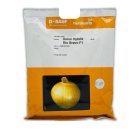 بذر پیاز ریو براوو در بایگ در گروه خرید و فروش بذر پیاز در یکمیوه