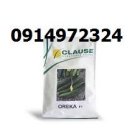 بذر خیار اورکا انتخاب کشاورزان حرفه در مشهد در گروه خرید و فروش بذر خیار در یکمیوه