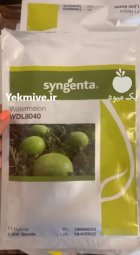 فروش بذر هندوانه هیبرید 8040 در اهواز در گروه خرید و فروش بذر هندوانه در یکمیوه