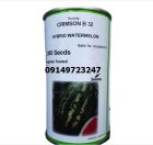 فروش بذر هندوانه هیبرید بی 32 در اصفهان در گروه خرید و فروش بذر هندوانه در یکمیوه