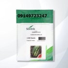 بذر هندوانه بی محصولی پربازده بازارپسند در شیراز در گروه خرید و فروش بذر هندوانه در یکمیوه