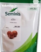 بذر پیاز بلمار سمینیس در انارستان در گروه خرید و فروش بذر پیاز در یکمیوه