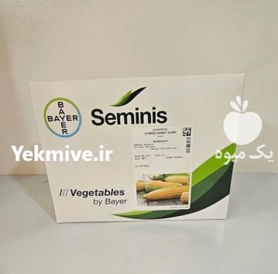 فروش بذر ذرت مسنجر با بالاترین در اصفهان در گروه خرید و فروش بذر ذرت در یکمیوه -عکس1