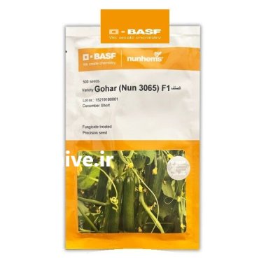 بذر خیار گلخانه ای گوهر در بیرجند در گروه خرید و فروش بذر خیار در یکمیوه -عکس1