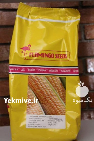 فروش بذر ذرت سمیرا در مشهد در گروه خرید و فروش بذر ذرت در یکمیوه -عکس1