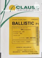 بذر خیار بالستیک کلوز در آذرشهر در گروه خرید و فروش بذر خیار در یکمیوه