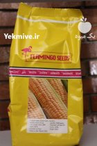 فروش بذر ذرت سمیرا در مشهد در گروه خرید و فروش بذر ذرت در یکمیوه