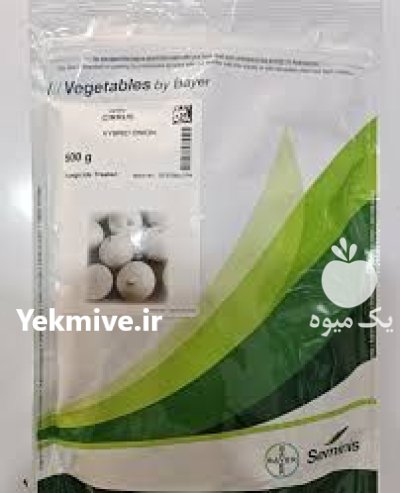 بذر پیاز سایروس با کیفیت عالی در جیرفت در گروه خرید و فروش بذر پیاز در یکمیوه -عکس1