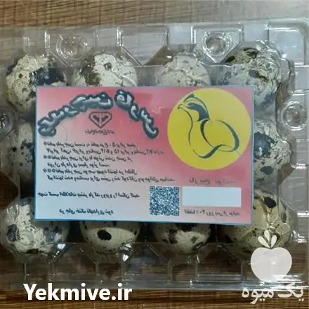 فروش تخم خوراکی بلدرچین در شیراز در گروه انواع تخم ها در یکمیوه -عکس1