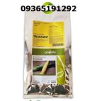 بذر ذرت اکسن چوئیت اصل در شیراز در گروه خرید و فروش بذر ذرت در یکمیوه