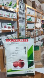 فروش بذر گوجه فرنگی رقم 4129 در شیراز در گروه خرید و فروش بذر گوجه در یکمیوه