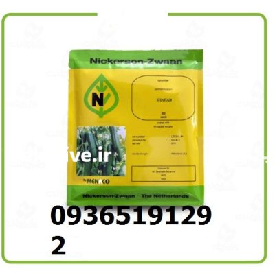 فروش بذر خیار گلخانه ای شهاب در اصفهان در گروه خرید و فروش بذر خیار در یکمیوه -عکس1