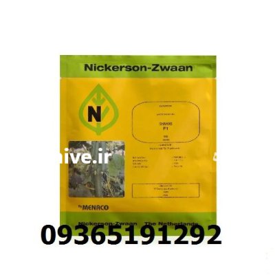 عرضه محدود بذر خیار شهاب در شیراز در گروه خرید و فروش بذر خیار در یکمیوه -عکس1