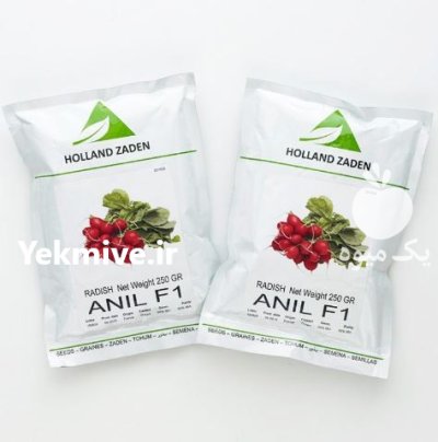 بذر تربچه ANIL F 1 در اصفهان در گروه خرید و فروش انواع بذر در یکمیوه -عکس1
