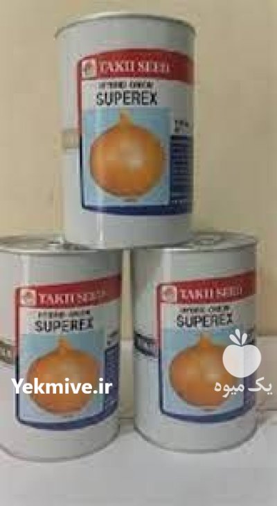 بذر پیاز تاکی اورجینال قیمت عالی در هشتبندی در گروه خرید و فروش بذر پیاز در یکمیوه -عکس1