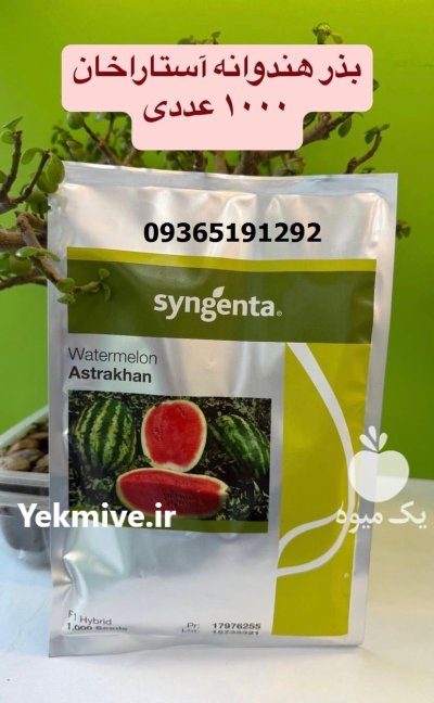 فروش بذر هندوانه استاراخان با کیفیت در خرم آباد در گروه خرید و فروش بذر هندوانه در یکمیوه -عکس1