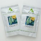 بذر کدو هیبرید فدک هلند زادن در تبریز در گروه خرید و فروش بذر کدو در یکمیوه