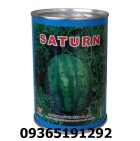 فروش بذر هندوانه میکادو ساترن اصل در اصفهان در گروه خرید و فروش بذر هندوانه در یکمیوه