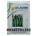 فروش بذر خیار افیسر با کیفیت در همدان در گروه خرید و فروش بذر خیار در یکمیوه