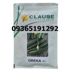 نیاز فوری به بذر خیار اورکا در مشهد در گروه خرید و فروش بذر خیار در یکمیوه