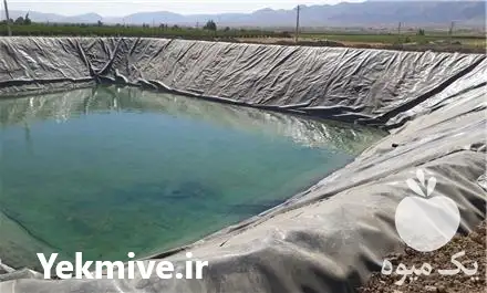 قیمت خرید نصب ورق پلیمری در یزد در گروه خرید و فروش استخر کشاورزی در یکمیوه -عکس1