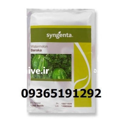 فروش بذر هندوانه باراکا پرمحصول زودرس در یزد در گروه خرید و فروش بذر هندوانه در یکمیوه -عکس1