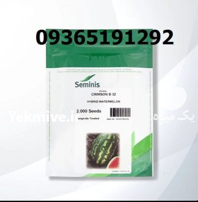 بذر هندوانه بی 32 در شیراز در گروه خرید و فروش بذر هندوانه در یکمیوه -عکس1