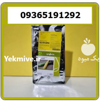 بذر ذرت اکسن چوئیت انتخاب کشاورزان در کازرون در گروه خرید و فروش بذر ذرت در یکمیوه -عکس1