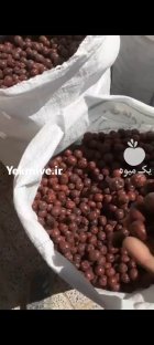 فروش عناب درجه یک و درشت در مشهد در گروه خرید و فروش محصولات کشاورزی در یکمیوه