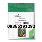 فروش بذر هندوانه بی مناسب کشاورزان در اصفهان در گروه خرید و فروش بذر هندوانه در یکمیوه