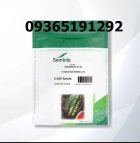 بذر هندوانه بی 32 در شیراز در گروه خرید و فروش بذر هندوانه در یکمیوه