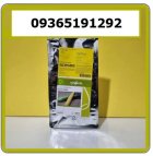 بذر ذرت اکسن چوئیت انتخاب کشاورزان در کازرون در گروه خرید و فروش بذر ذرت در یکمیوه