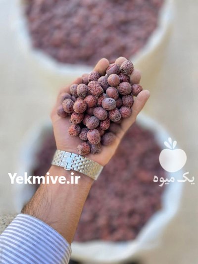 فروش محصولات کشاورزی در مشهد در گروه خرید و فروش محصولات کشاورزی در یکمیوه -عکس1