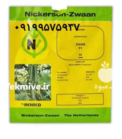 بذر خیار شهاب در اصفهان در گروه خرید و فروش بذر خیار در یکمیوه -عکس1