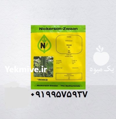 بذر خیار شهاب در اصفهان در گروه خرید و فروش بذر خیار در یکمیوه -عکس2