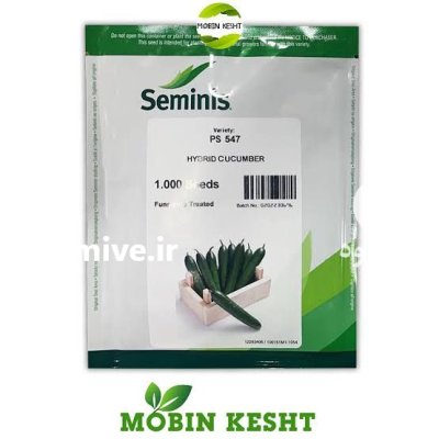 فروش بذر خیار ps 547 در کهنوج در گروه خرید و فروش بذر خیار در یکمیوه -عکس1