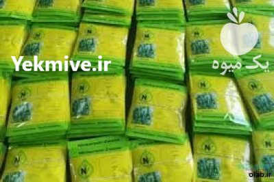 بذر خیار کیهان با کیفیت بالا در مشهد در گروه خرید و فروش بذر خیار در یکمیوه -عکس1