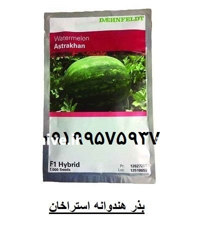 فروش عمده جزئی بذر هندوانه استاراخان در اهواز در گروه خرید و فروش بذر هندوانه در یکمیوه -عکس2