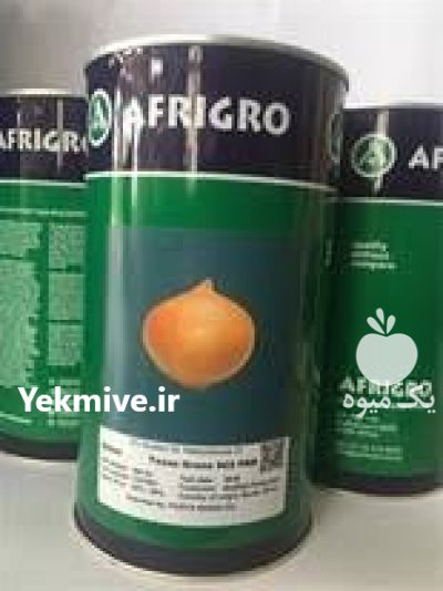 بذر پیاز سایروس با کیفیت تضمینی در جیرفت در گروه خرید و فروش بذر پیاز در یکمیوه -عکس1