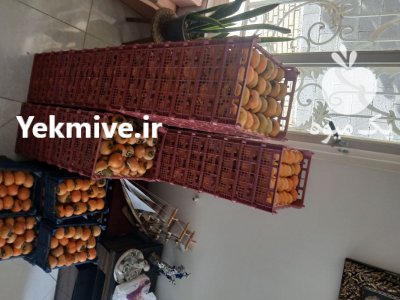 خرمالو درجه یک شهریار در تهران در گروه خرید و فروش خرمالو در یکمیوه -عکس1